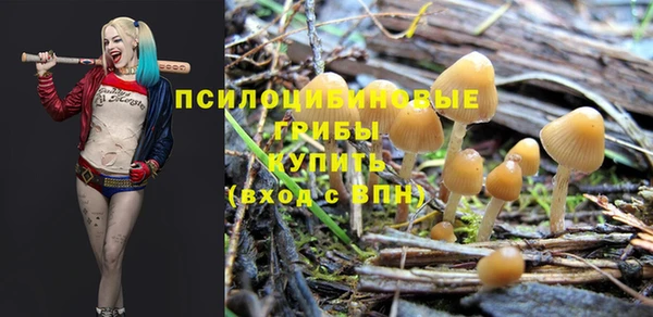 соль ск Балабаново