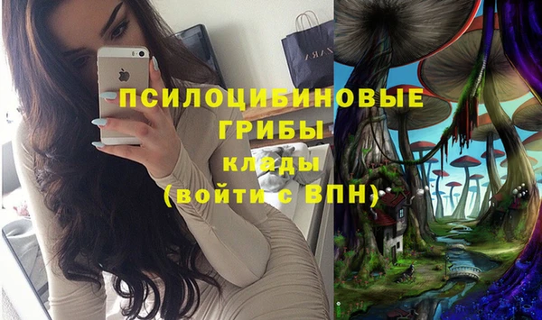 спиды Балахна