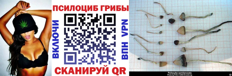 Псилоцибиновые грибы мухоморы  Пересвет 